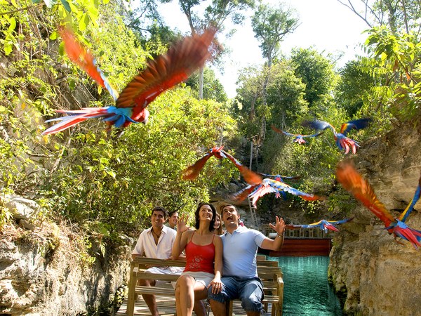 Family on a bench watching scarlet macaws fly through the park