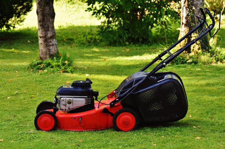 Avec l'essor des technologies domotiques dans tous les aspects de la vie quotidienne, l'entretien des pelouses devient lui aussi plus intelligent, automatisé et efficace. Navimow s'est imposé comme une marque leader de tondeuses robotisées, révolutionnant l'entretien des espaces extérieurs grâce à une navigation de précision, une automatisation basée sur l'intelligence artificielle et une technologie de tonte tout terrain avancée. Avec des gammes de produits innovantes telles que les séries Navimow i, X et H, l'entreprise aide les particuliers à simplifier l'entretien de leur pelouse tout en obtenant des résultats de tonte professionnels avec un minimum d'effort.