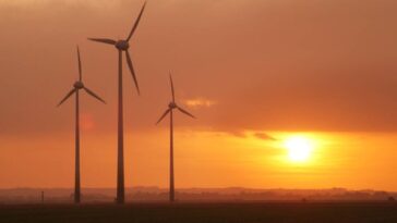 Wind turbines silhouetted against an orange sunset sky, from the Ecotricity website
