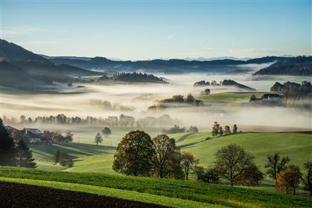 Nestled in the stunning Riviera Maya, Xcaret Park is one of Mexico’s most celebrated destinations, offering a unique combination of natural beauty, cultural heritage, and family-friendly entertainment. Known as one of the greatest eco-parks in the region, Xcaret delivers an unforgettable experience for visitors of all ages.