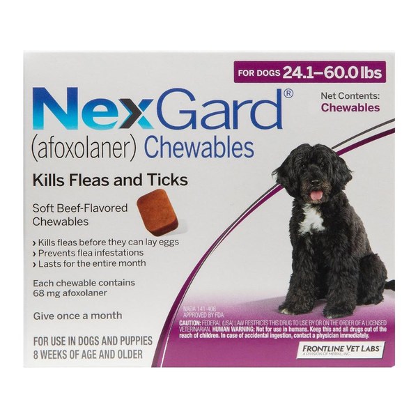 Pack of NexGard afoxolaner chewables for dogs 24.1 to 60 lbs