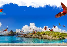 Ubicados a lo largo de la impresionante costa de la Riviera Maya de México, los parques Xcaret ofrecen un mundo de aventura, belleza natural y descubrimiento cultural como ningún otro. Con una variedad de experiencias inmersivas diseñadas para emocionar, inspirar y sorprender, estos parques son el destino perfecto para quienes buscan una combinación de emoción, relajación y encuentros únicos con el mundo natural. Ya sea que sea un adicto a la adrenalina, un amante de la naturaleza o alguien que busca explorar la vibrante herencia de México, Xcaret tiene algo para cautivar a todo tipo de aventurero.