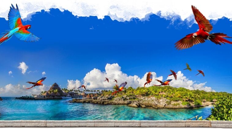 Ubicados a lo largo de la impresionante costa de la Riviera Maya de México, los parques Xcaret ofrecen un mundo de aventura, belleza natural y descubrimiento cultural como ningún otro. Con una variedad de experiencias inmersivas diseñadas para emocionar, inspirar y sorprender, estos parques son el destino perfecto para quienes buscan una combinación de emoción, relajación y encuentros únicos con el mundo natural. Ya sea que sea un adicto a la adrenalina, un amante de la naturaleza o alguien que busca explorar la vibrante herencia de México, Xcaret tiene algo para cautivar a todo tipo de aventurero.
